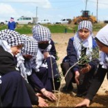 الفلسطينيون يحيون الذكرى ال47 ليوم الأرض على حدود غزة