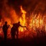 رجال الإطفاء في إندونيسيا يسابقون الزمن لإخماد حرائق الغابات المستعرة في جزيرة سومطرة.