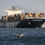 سفينة شحن أمريكية تبلغ عن تعرضها لـ”هجوم صاروخي” قبالة اليمن